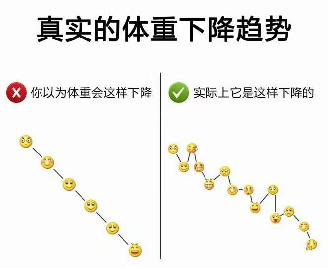 正确认识减脂平台期(图2)